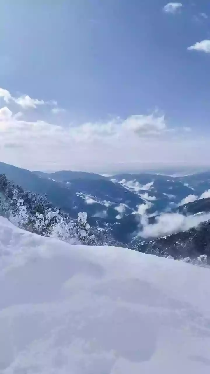 Kashmir Tourism Reborn: Snowfall's Magical Touch