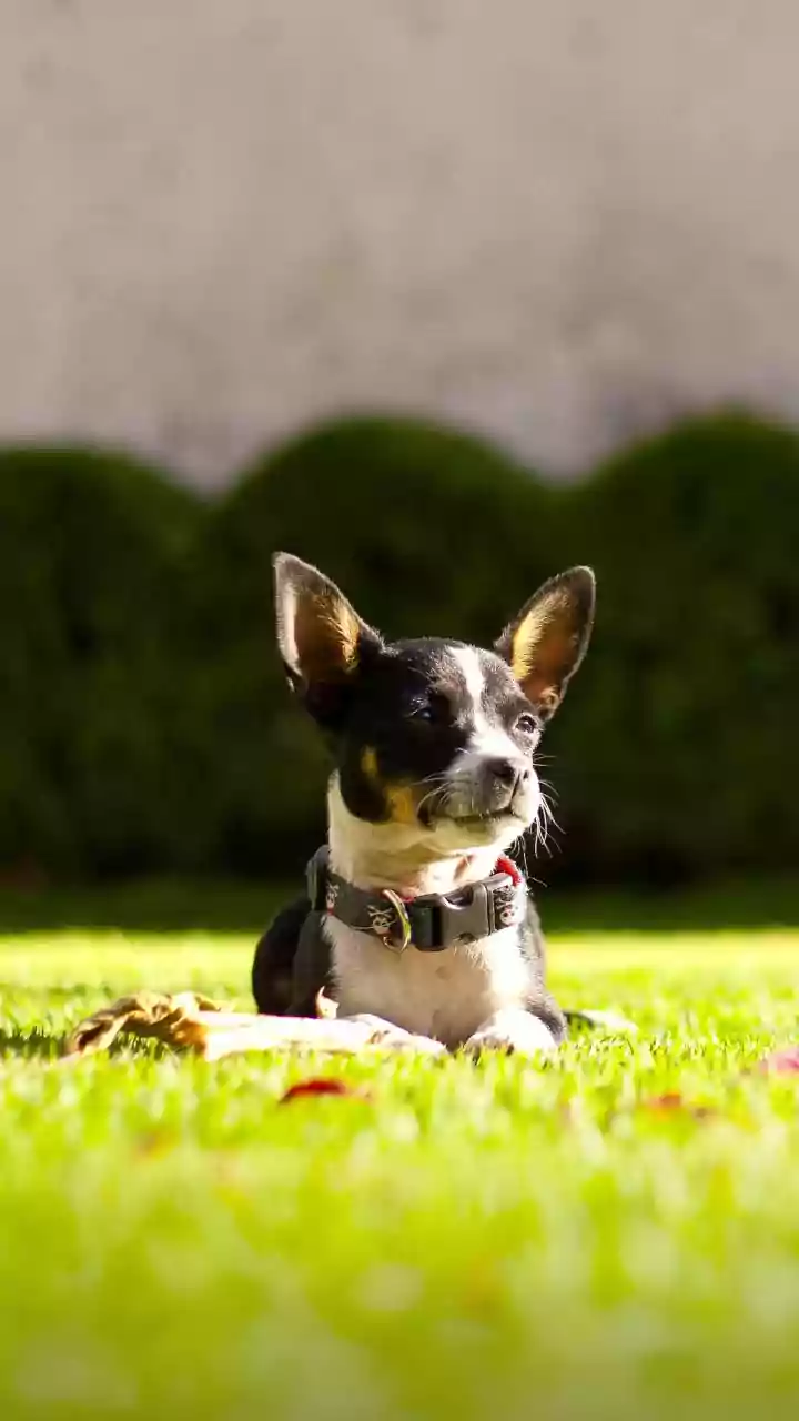 Related Stories banner