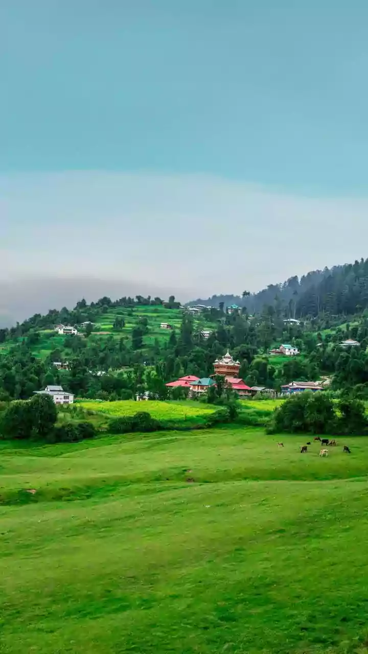 Sirmaur's Serene Escape: A Journey to Himachal's Hidden Gem
