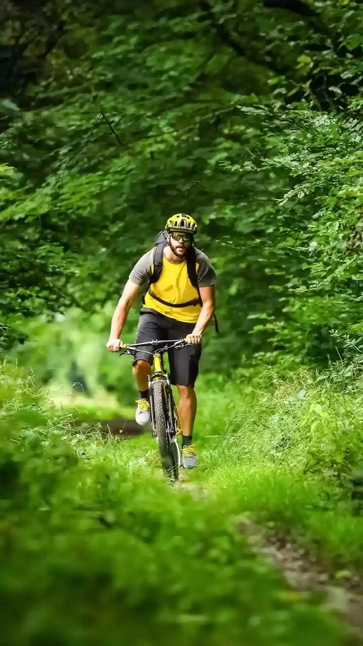 The surprising benefits of cycling on local trails