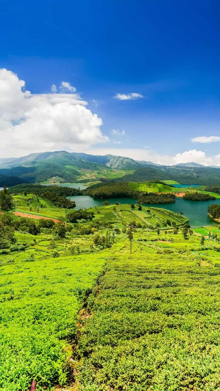 Top 5 Solo Travel Spots in India