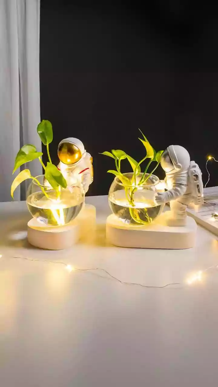 Urban Plant Parents Want Greens Without Mess