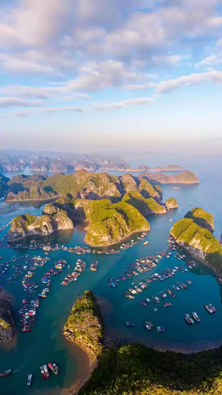 Cheap Direct Flights And Hostels Make 5-Day Vietnam Trips Affordable Under ₹35,000 Total