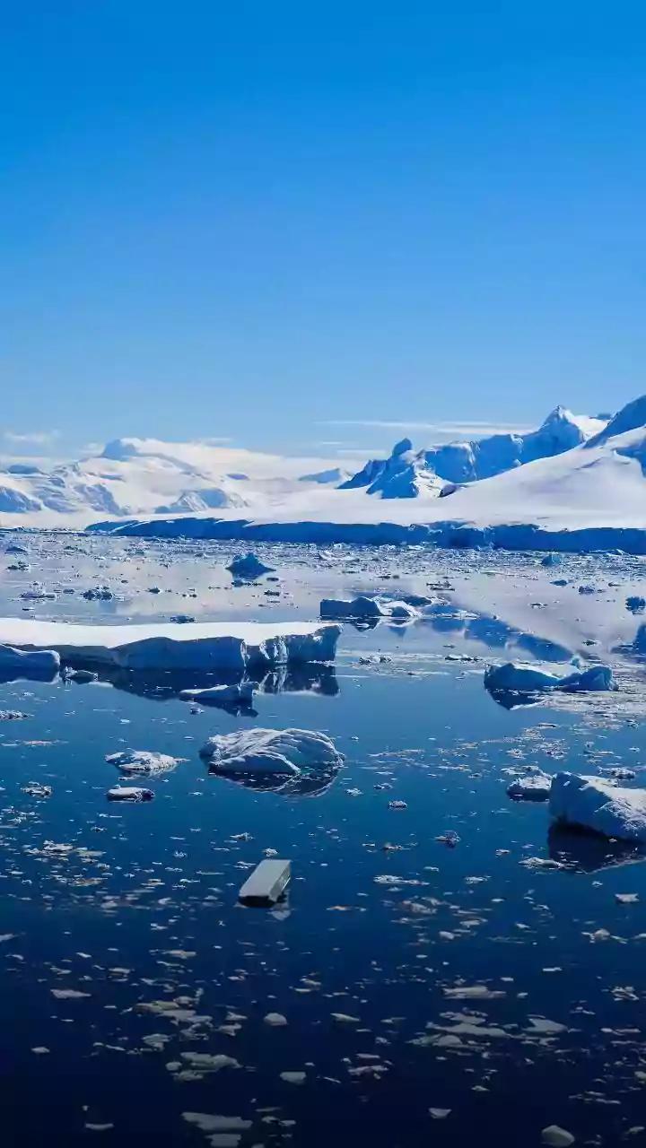 Top Antarctica Tours: Your Ultimate Guide