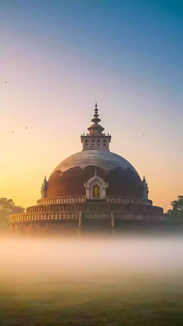 Delhi NCR Weather: IMD Issues Warning, Check Flights Cancellations, Fog Visibility & AQI