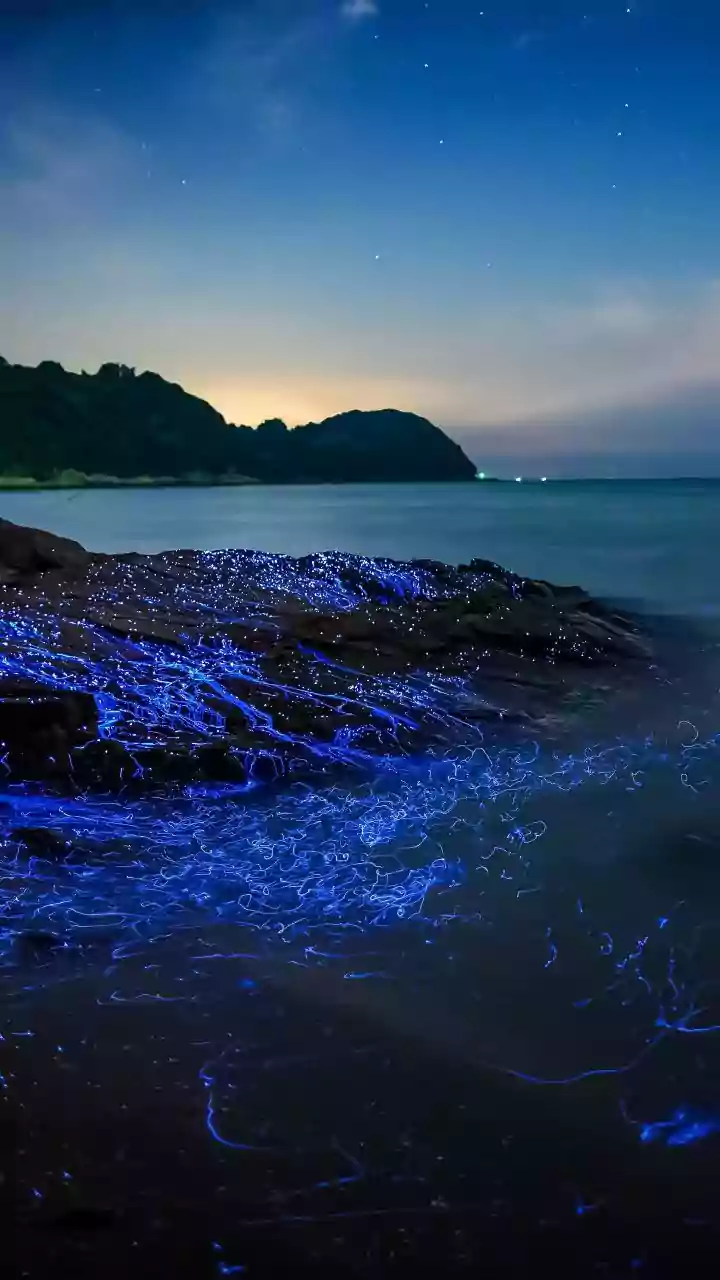 Nature's Viral Monsoon Spectacle Is Back Again