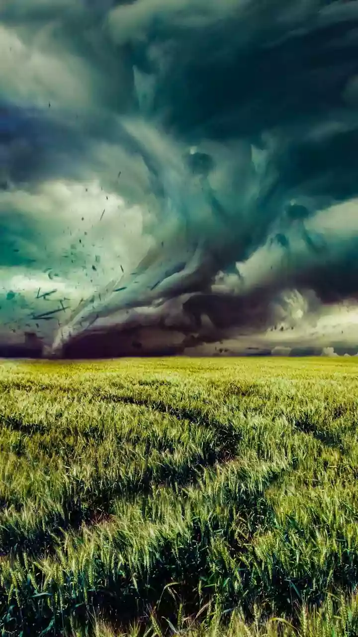 Couples Are Chasing Clouds Together