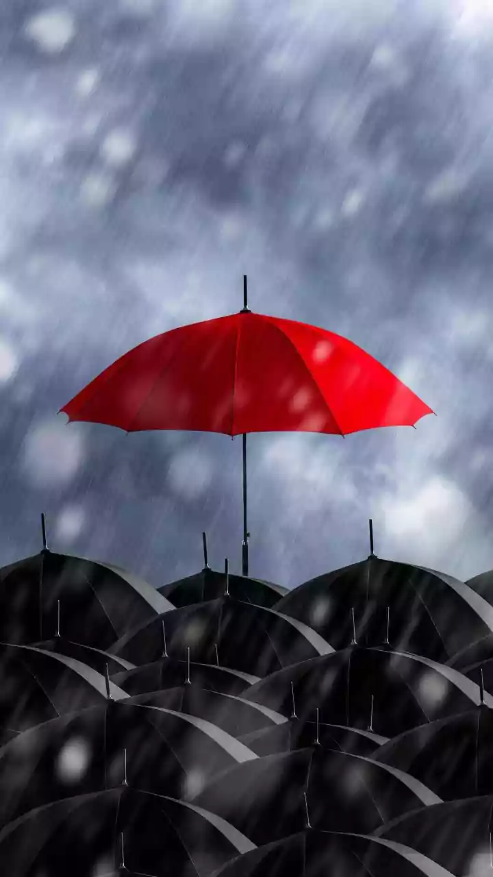 A Cancellation Policy Should Explain Weather Disruptions Clearly
