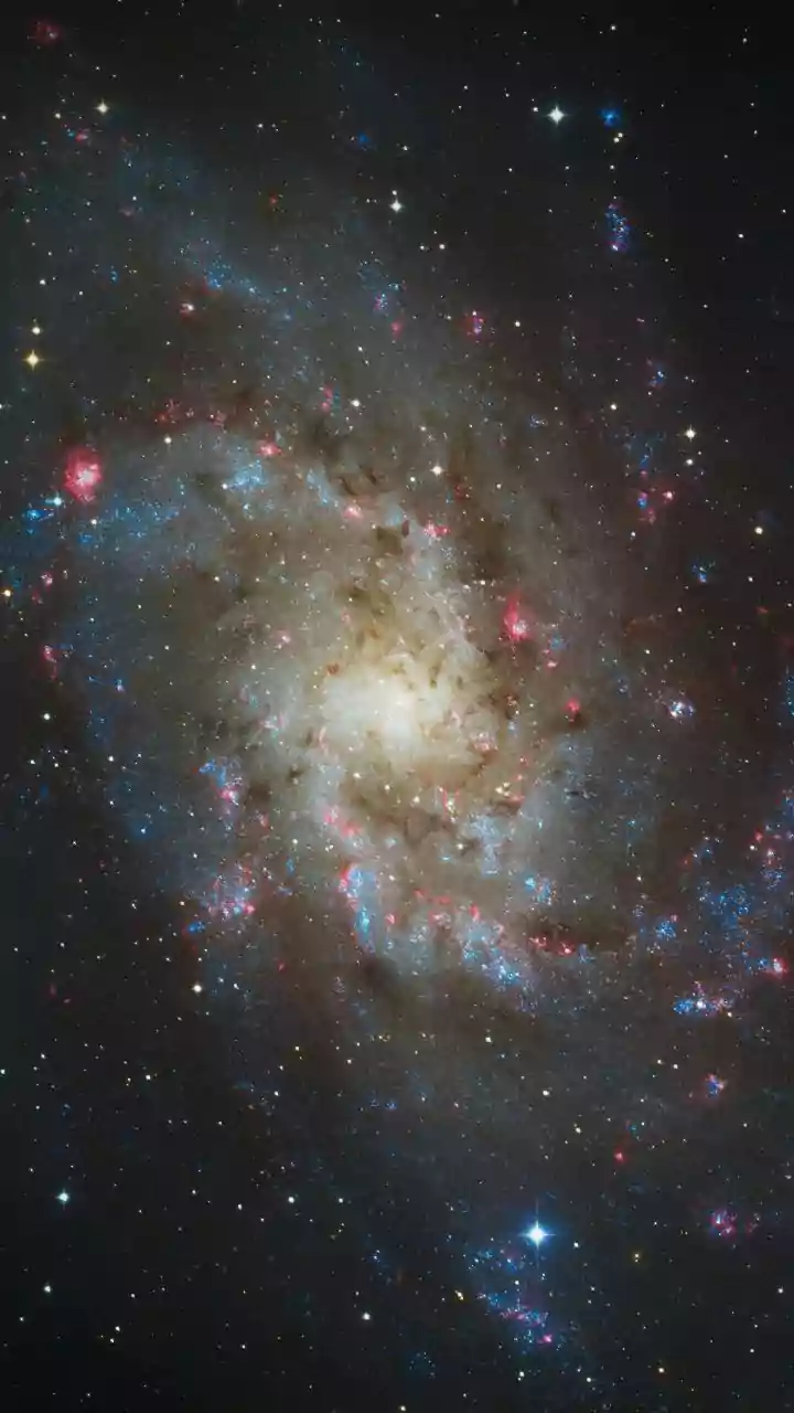 16.5 Million Stars, One Stunning Galaxy View