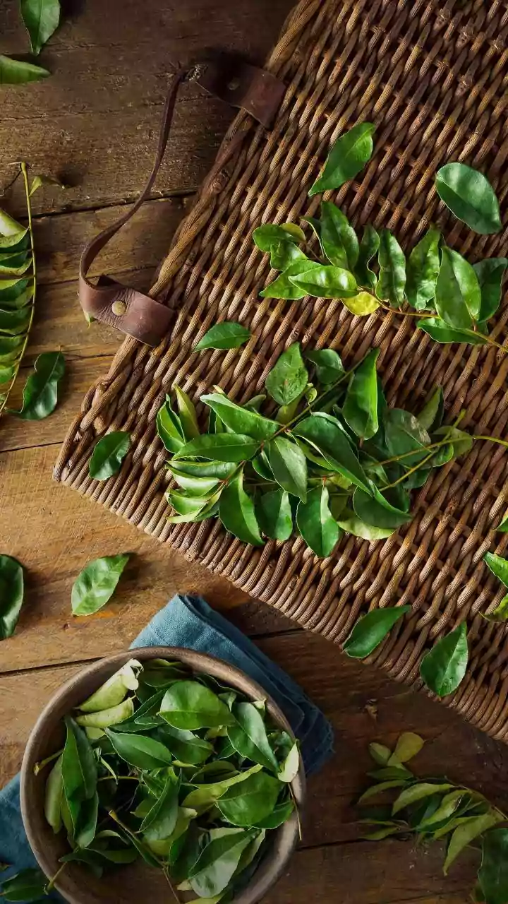 Forest Ingredients Bring Wild Herbs, Leaves And Seasonal Produce Into Focus, But Need Responsible Sourcing And Careful Identification