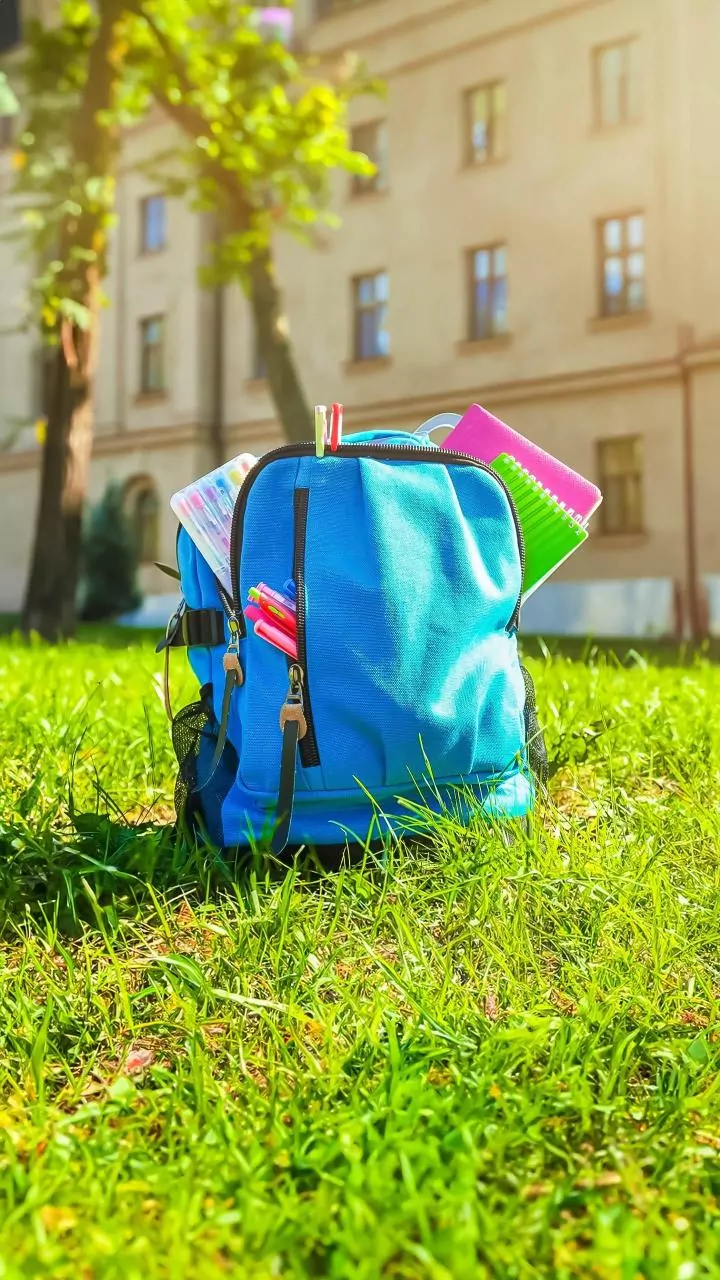 Back to School Blues: Unpacking Kids' Summer Holiday Readjustment Struggles