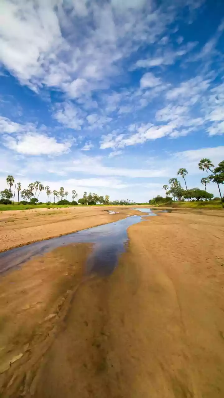 Soar Above Africa: The Ultimate Coastal Paramotoring Adventure