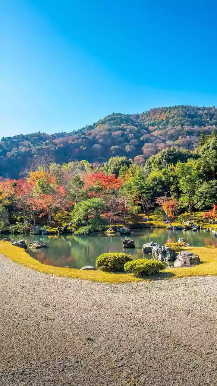 Japan's Quieter Side Starts Beyond Shibuya, Nara and Dotonbori