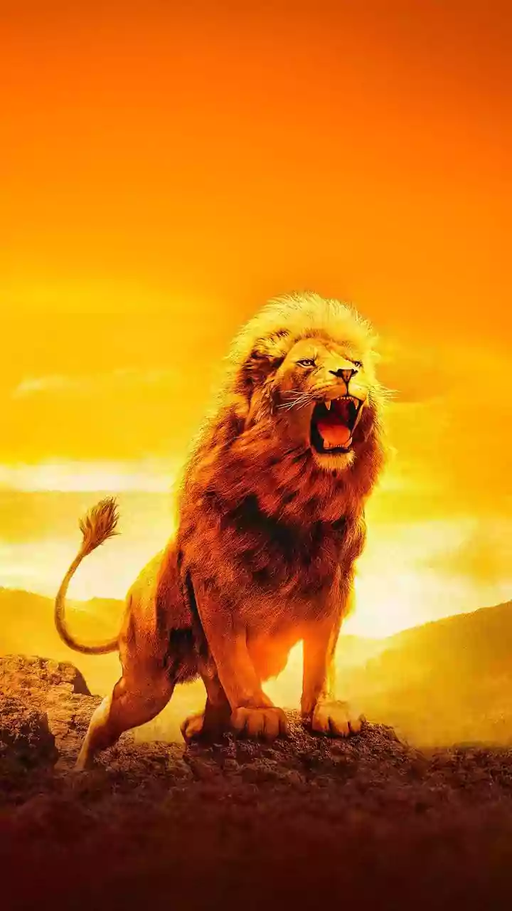 Leo Horoscope Today, May 11, 2026