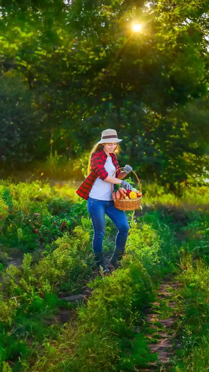 Woman farmer union activist killed with heavy object; body found in UP's Barabanki: Police
