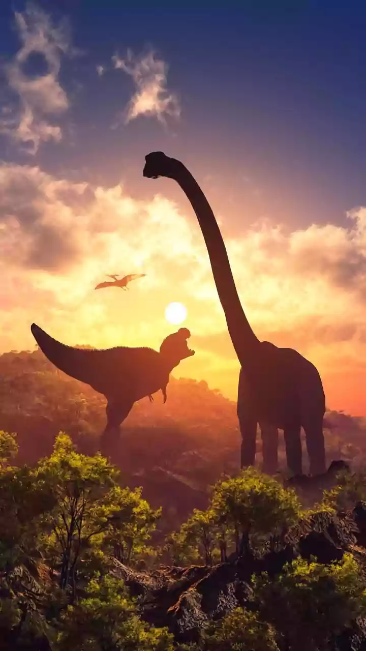 Shifts in seawater chemistry caused world to cool after Dinosaur Extinction