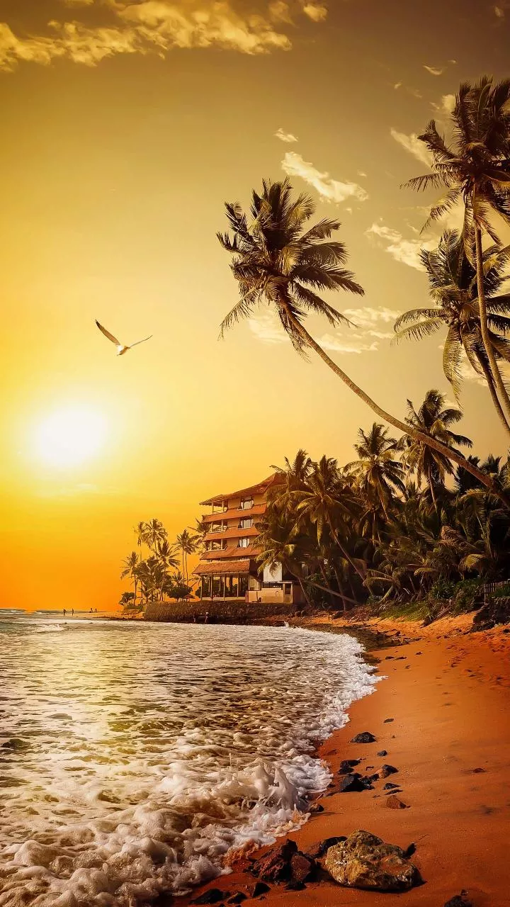 Warm-coast budget getaways with pleasant December water