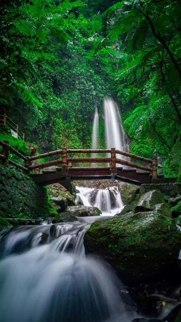 Plan An Uncrowded Autumn Trip To Meghalaya To See Sohra Cascades And Root Bridges