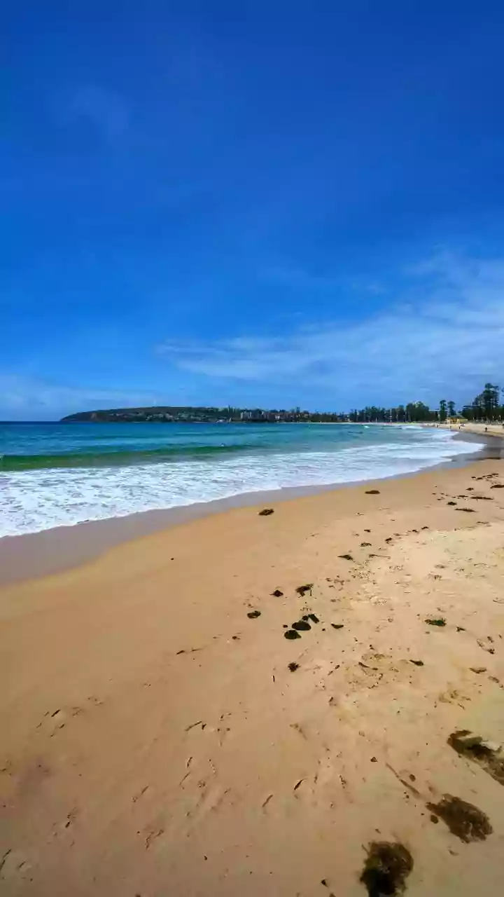 Bondi Beach shooting triggers top-to-bottom audit of Australian intelligence