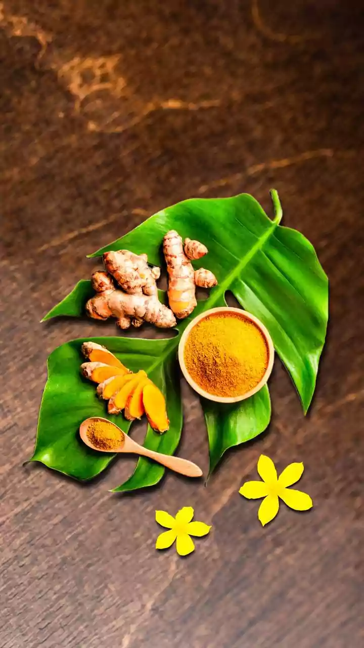 India showed tradition, science can advance together: Tedros at WHO summit on traditional medicine