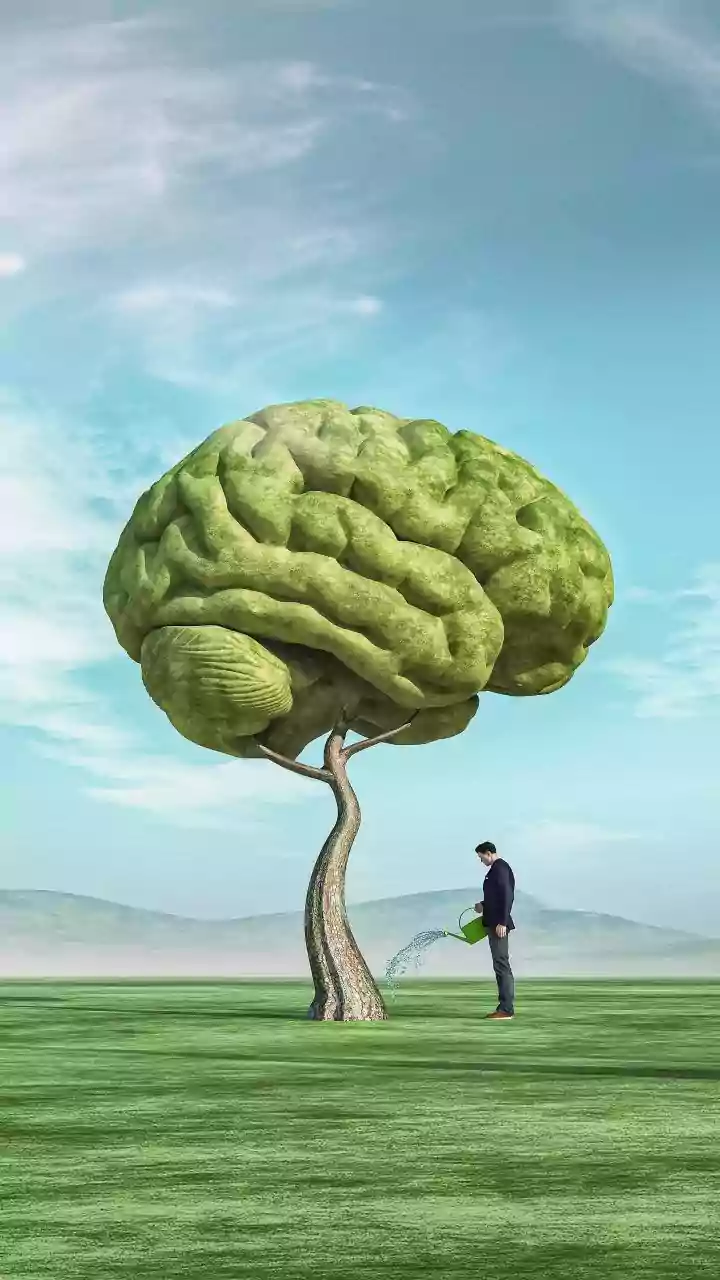 Wedding Season, Party Nights, And Still Drained? Why Social Fatigue Is Hitting Indians