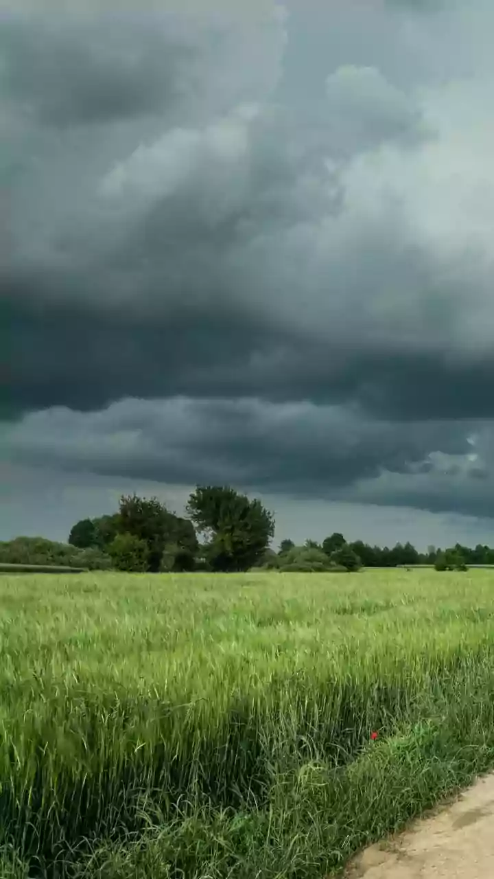 Wait Out Initial Monsoons For Safer Farm Harvest Digital Experts