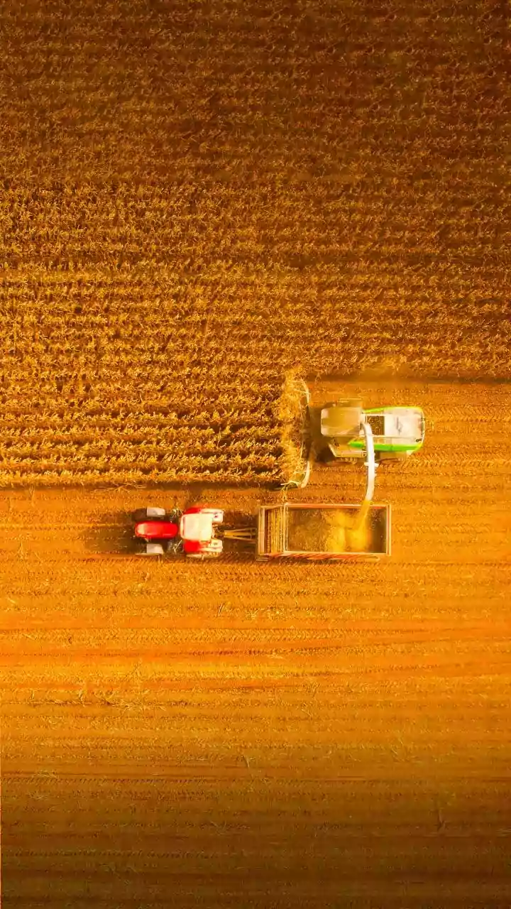 UP: Boy on bicycle run over by tractor-trolley in Ballia