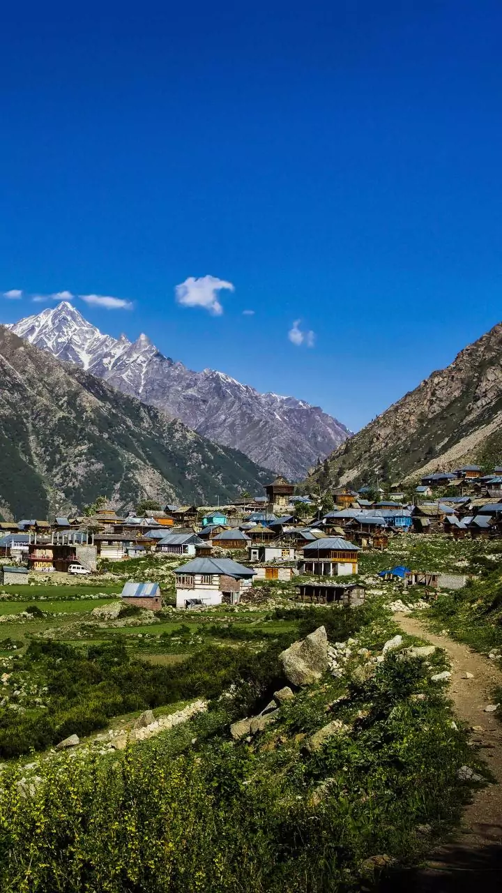 What Is Panchgavya And Why It’s Linked To Gangotri Dham Visits?