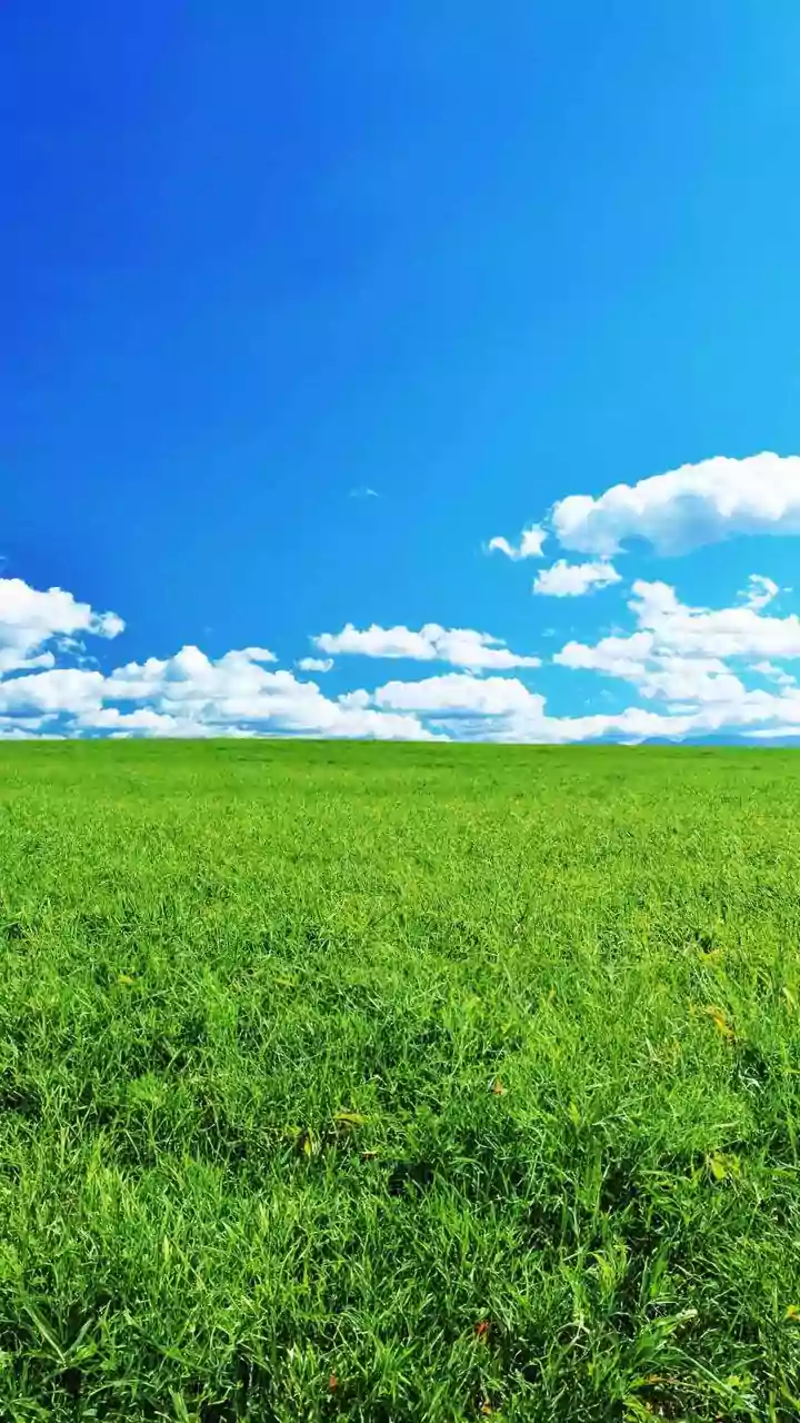 9 Simple Steps to a Happier You: Stress-Free Living