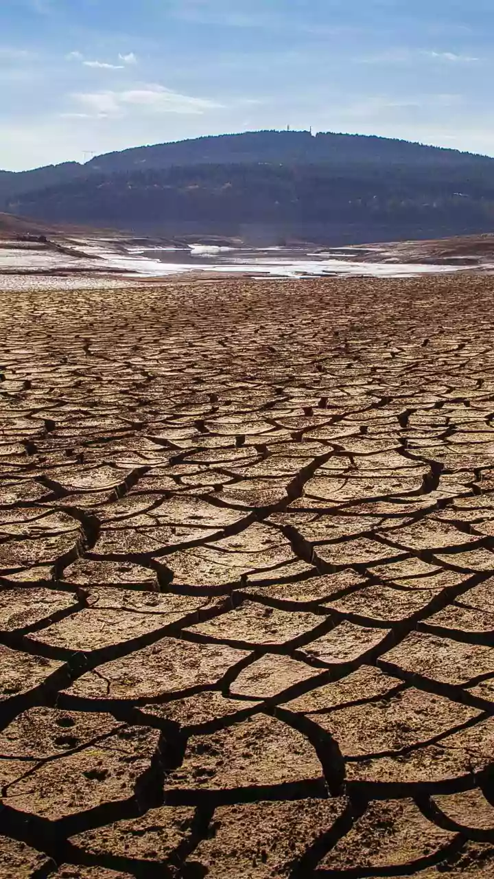 Driest June In 146 Years: How India Navigates Weather