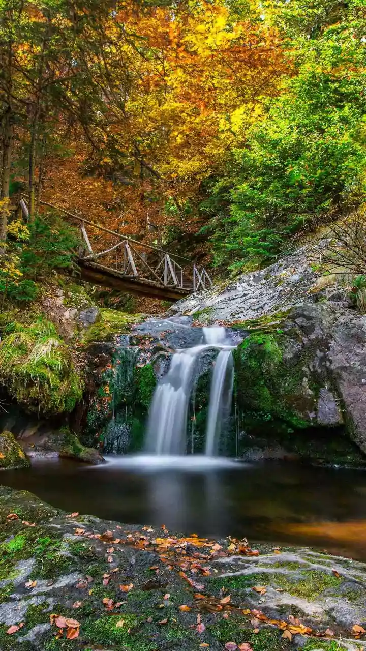 Why Autumn Is The Ideal Season To Visit Meghalaya Waterfalls And Living Root Bridges
