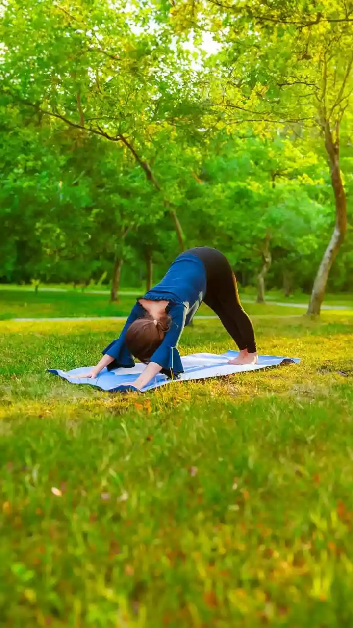 India's New Yoga Protocols: A Proactive Approach to Combating Lifestyle Diseases