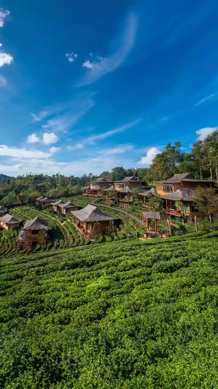 Mawlynnong's Sunday Sanctuary: Asia's Cleanest Village Reserves One Day for Locals