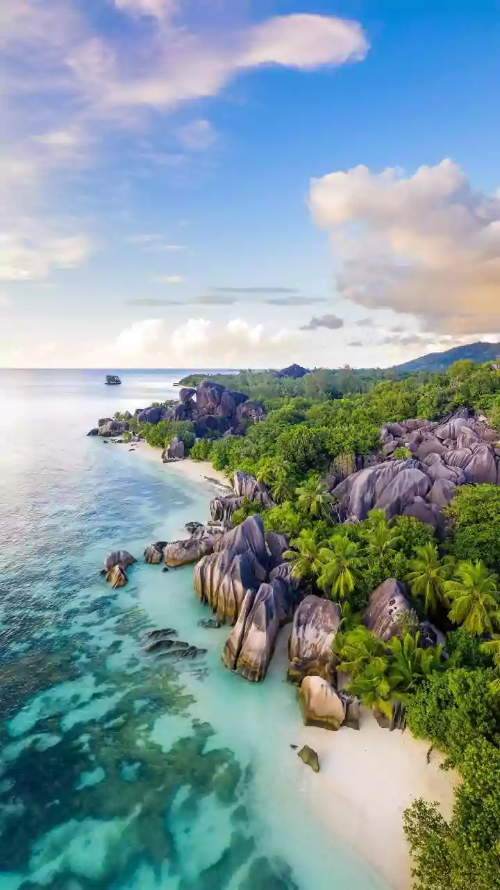 Seychelles Travel Alert: CDC Warns of Chikungunya Virus, Advises Enhanced Precautions