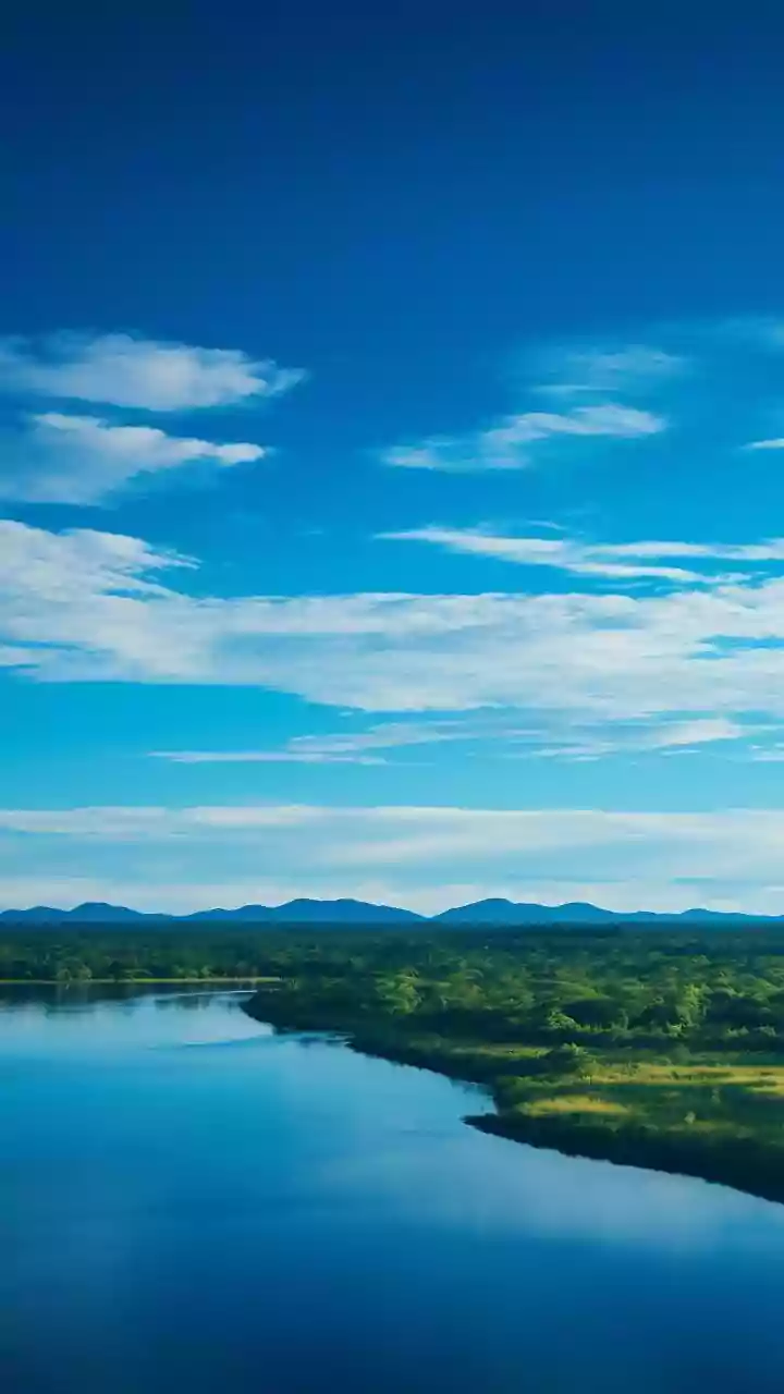 Loktak Lake: Manipur's Floating Jewel and Home to the Dancing Deer