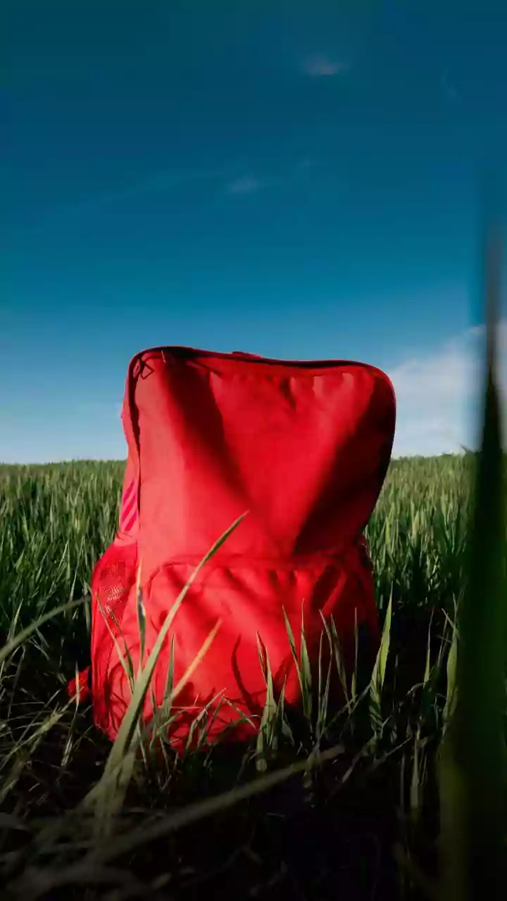 How Indian Passport Holders Manage Daily Expenses While Backpacking Through Georgian Towns Efficiently