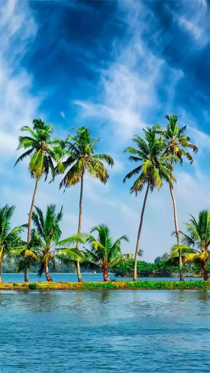Why Kerala Sustainable Tourism Still Matters: What To Understand Before Reading Further