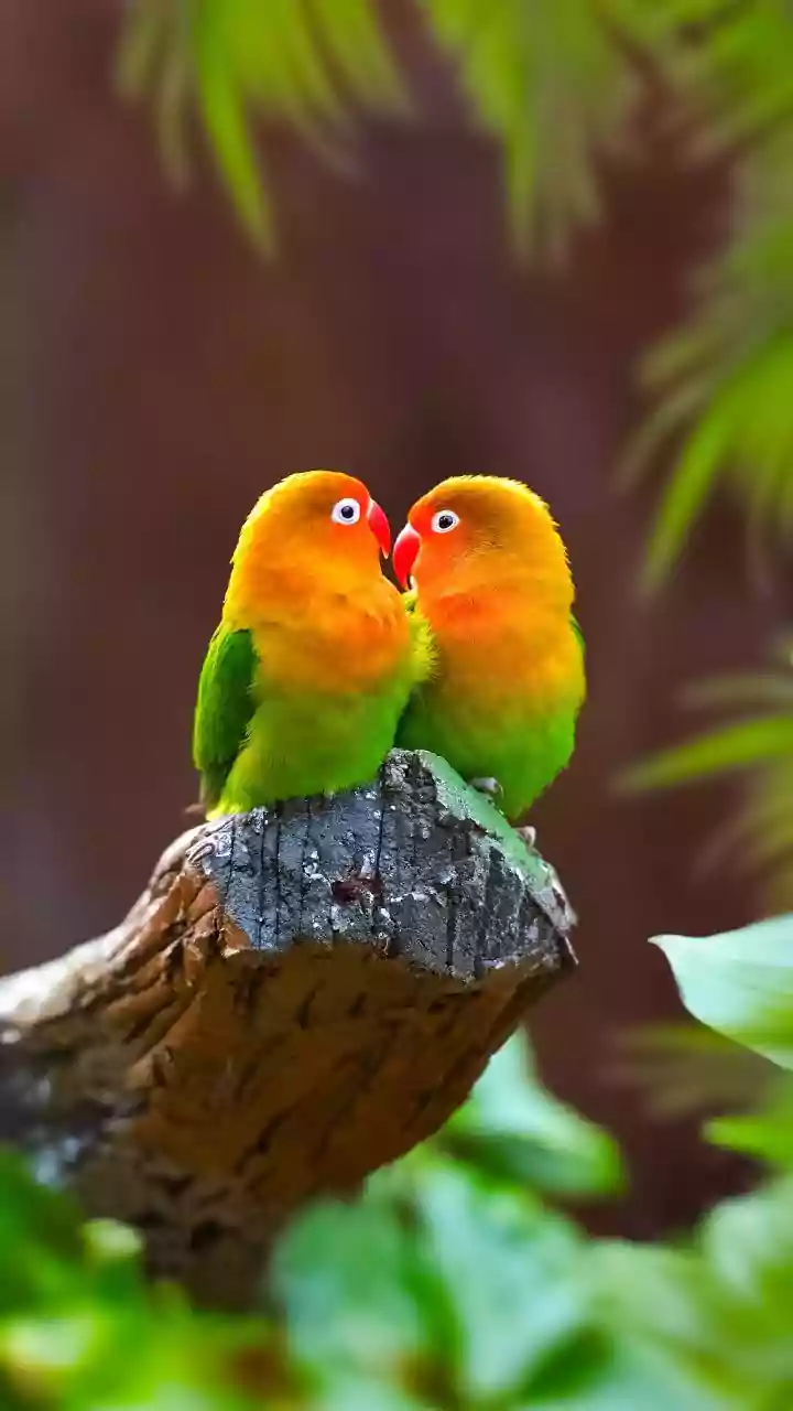 Kiss Day evening check — tap before heading out.