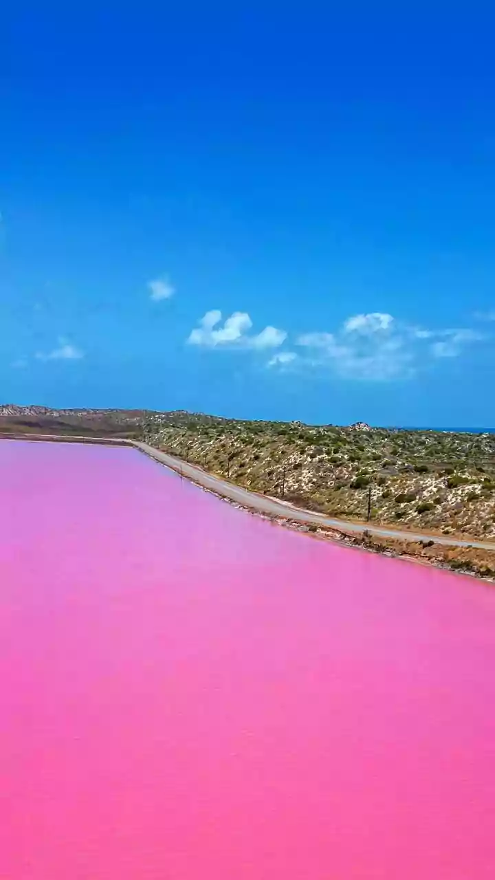 A World Tour of Pink Lakes: Breathtaking Hues