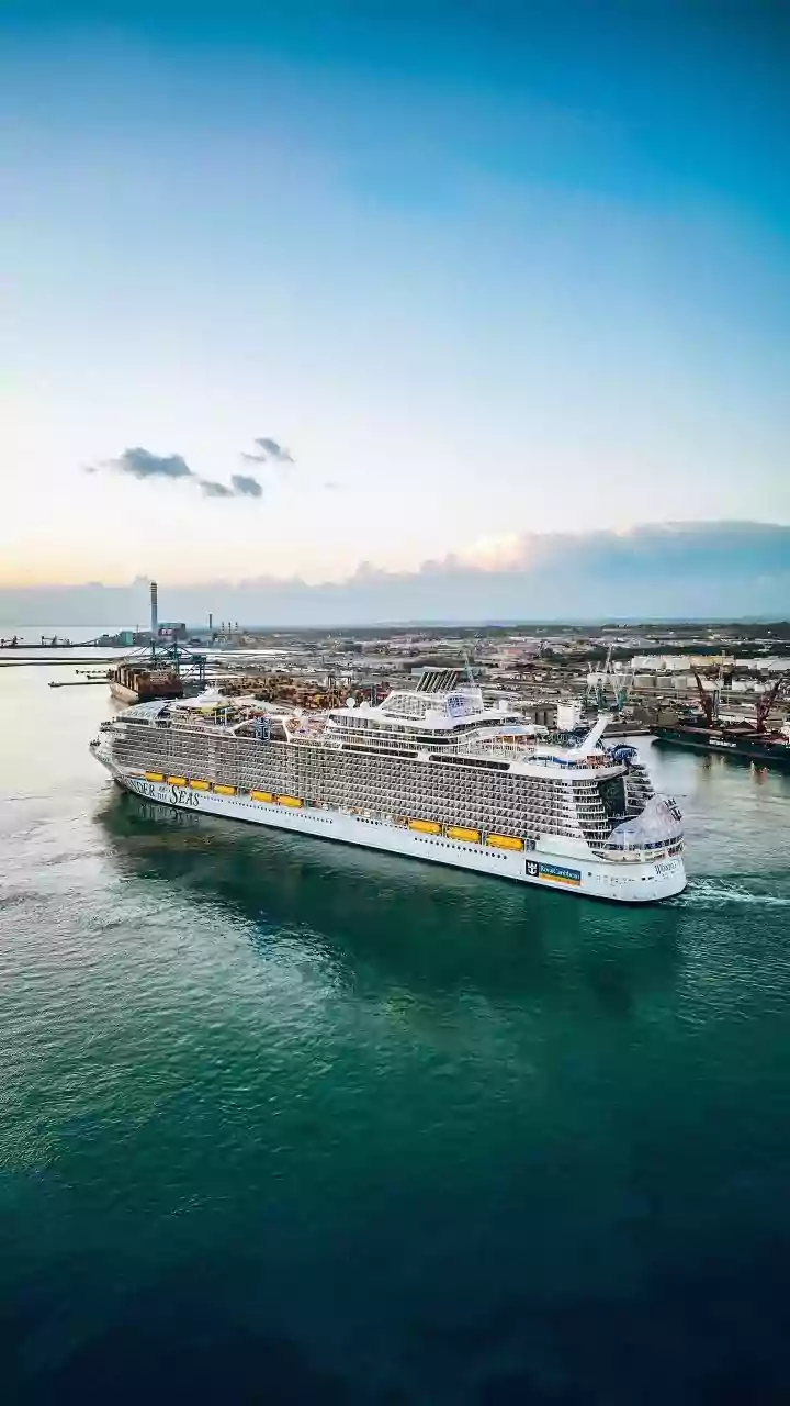 Hantavirus Outbreak on Cruise Ship Linked to Rodents, Claims Three Lives