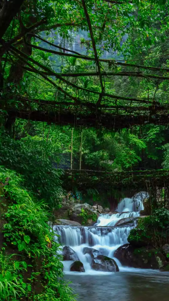 Rajdari & Devdari: A Natural Retreat