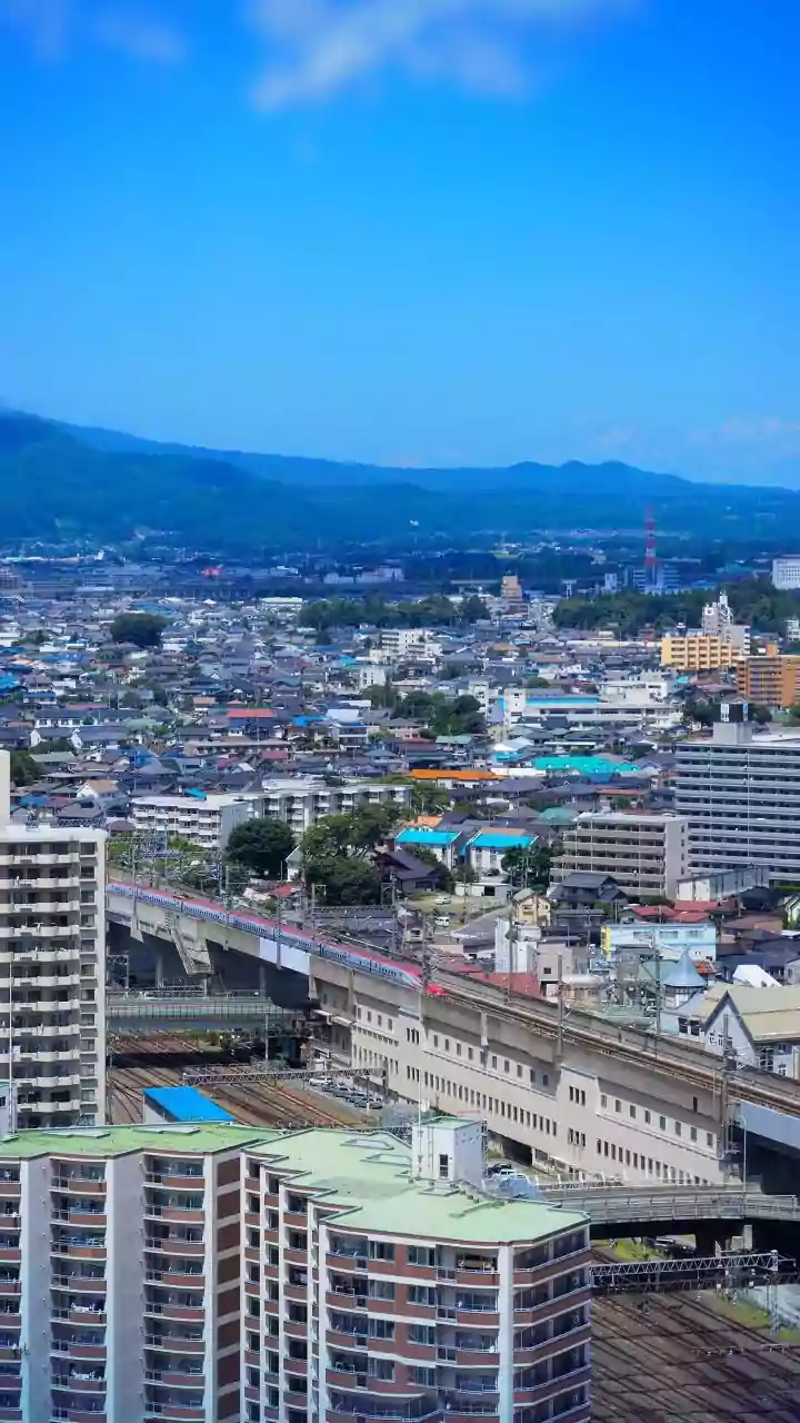 IRCTC's Japan Tour Includes Bullet Train Travel: What Else Is Covered In The Price?