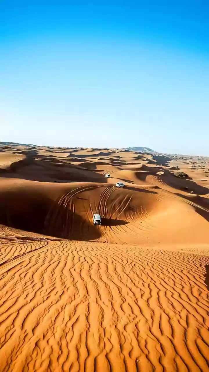 Ashwini Kalsekar's Dubai Desert Safari Adventure: A Thrill Murli Sharma Skipped Due to Health