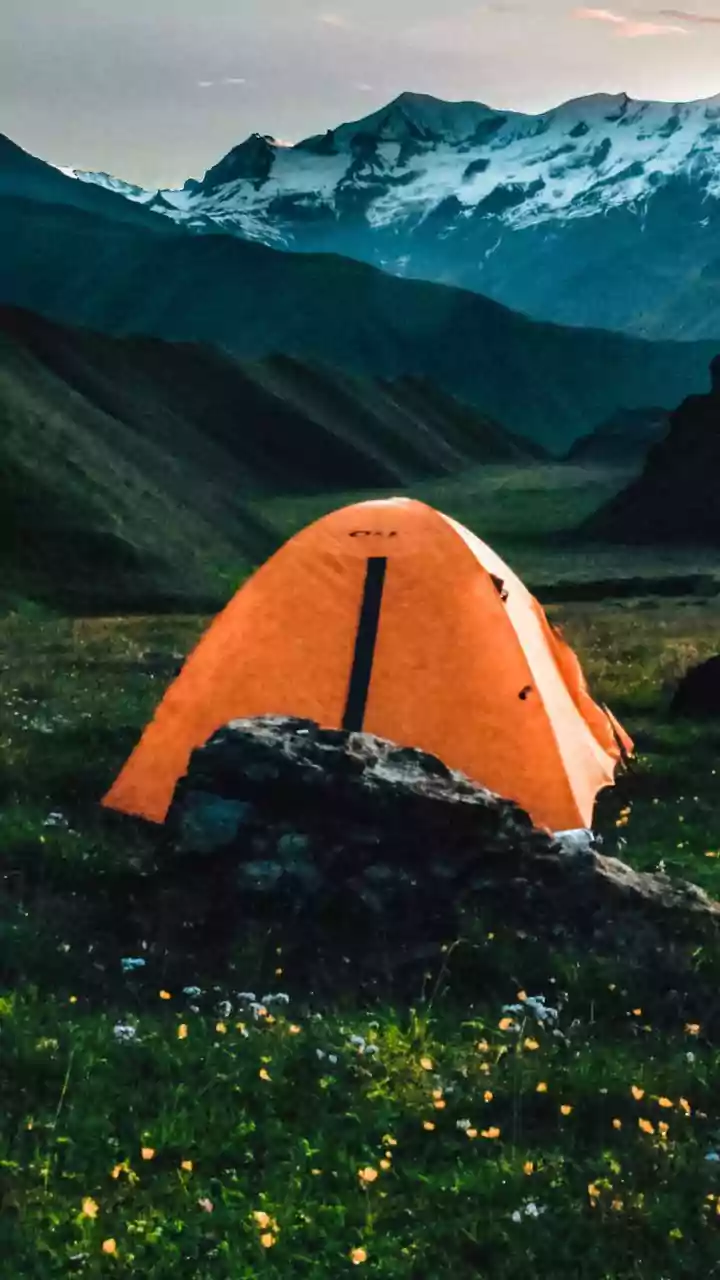 5 Survival Strategies from Bear Grylls You Can Use Anywhere