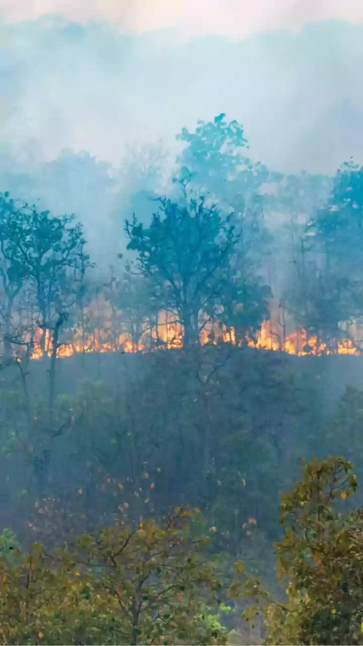 Severe Haze from Southeast Asia's Wildfires Worsened by El Niño