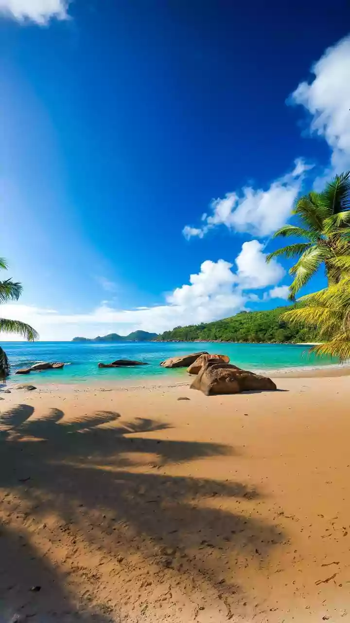 Eight Beaches That Make A Winter Escape In South India Possible