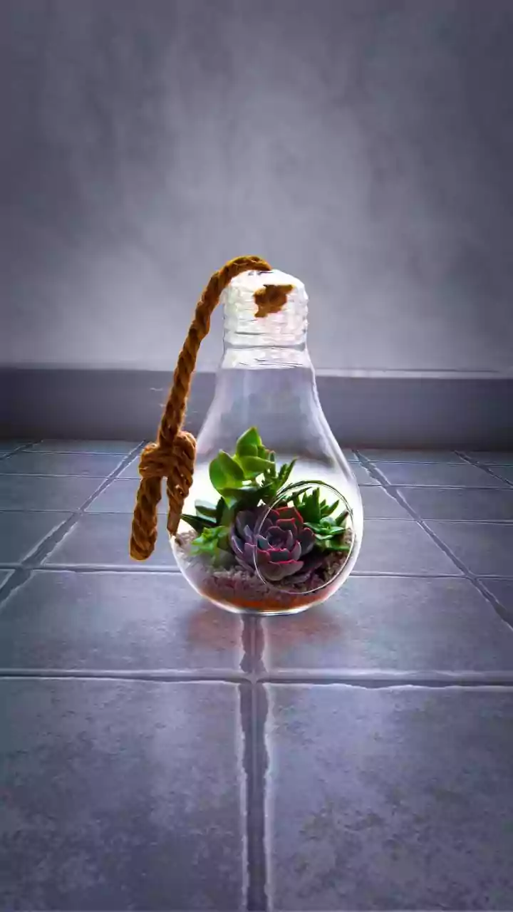 Snake Season Needs Common Sense, Not Panic, In Indian Homes