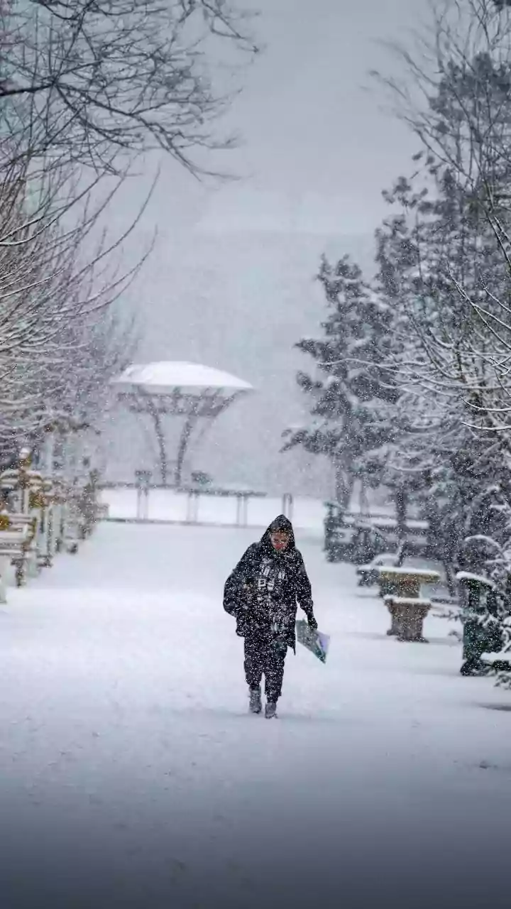 IMD warns of severe cold wave, freezing temperatures in northern India