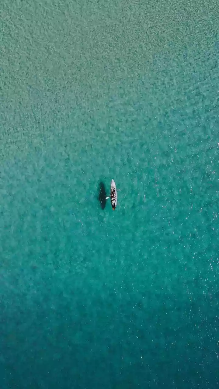 Kayaking And Paddleboarding: Choosing A Water Sport For Strength Goals Compared