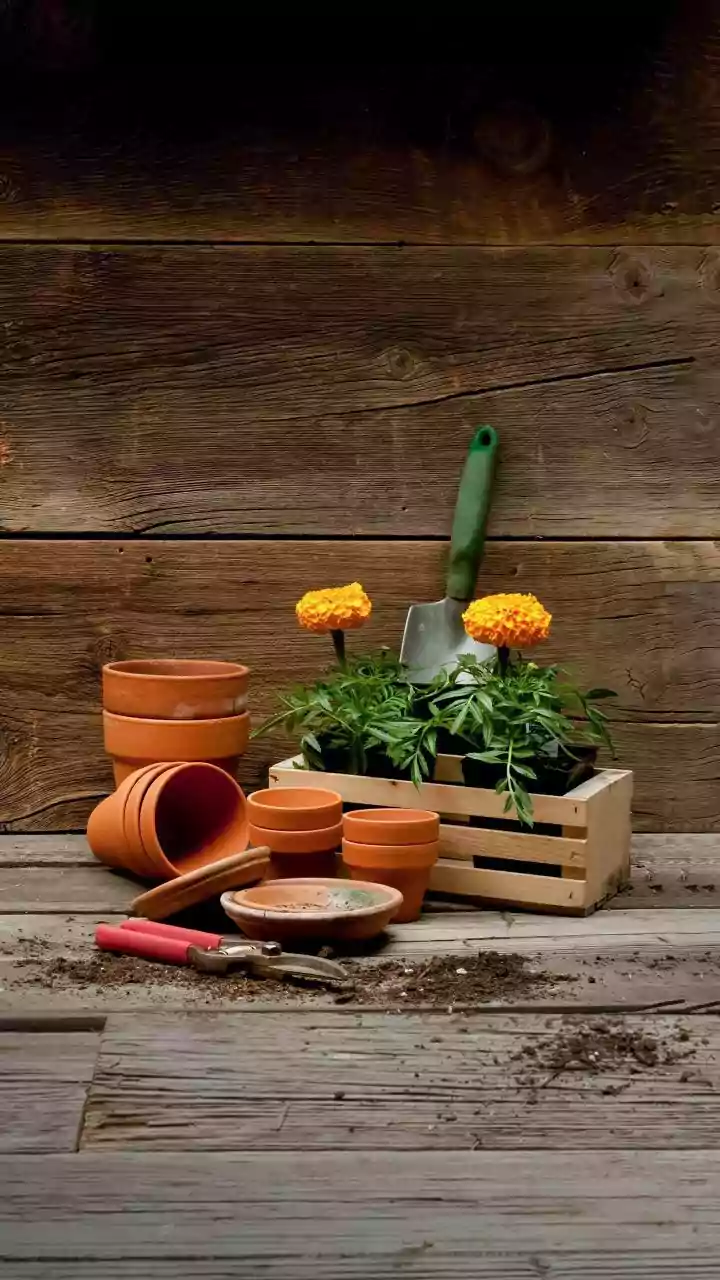 Porous Terracotta Olla Pots Keep Balcony Garden Soil Hydrated During Humid Dry Spells